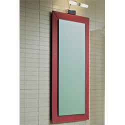 mirror-with-leather-frame-465x99-cm