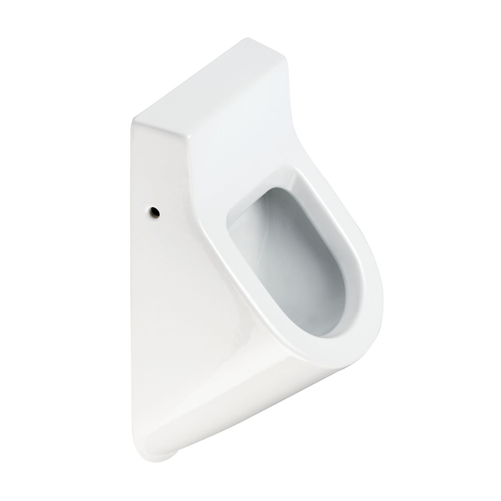 Wall-mounted urinal
