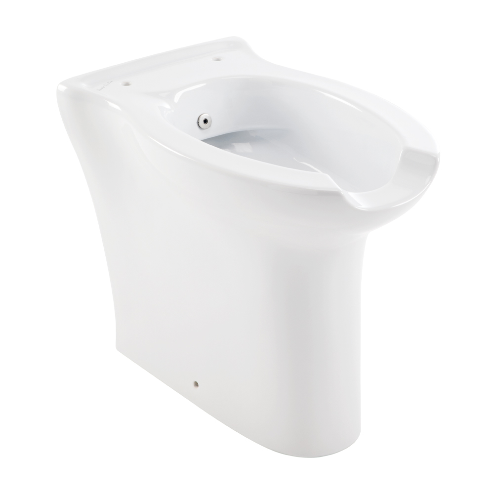 Toilet-bidet, equipped with wash nozzle