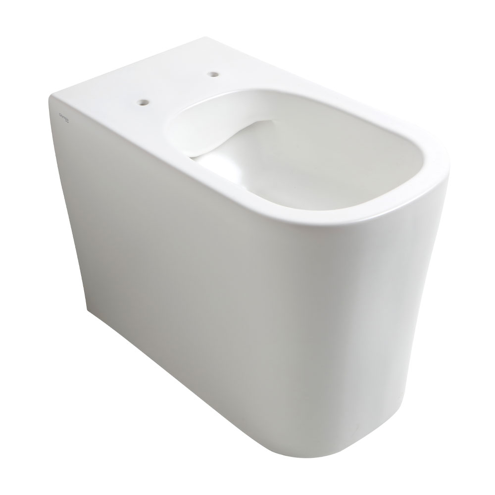 Rimless floor-standing sanitary toilet