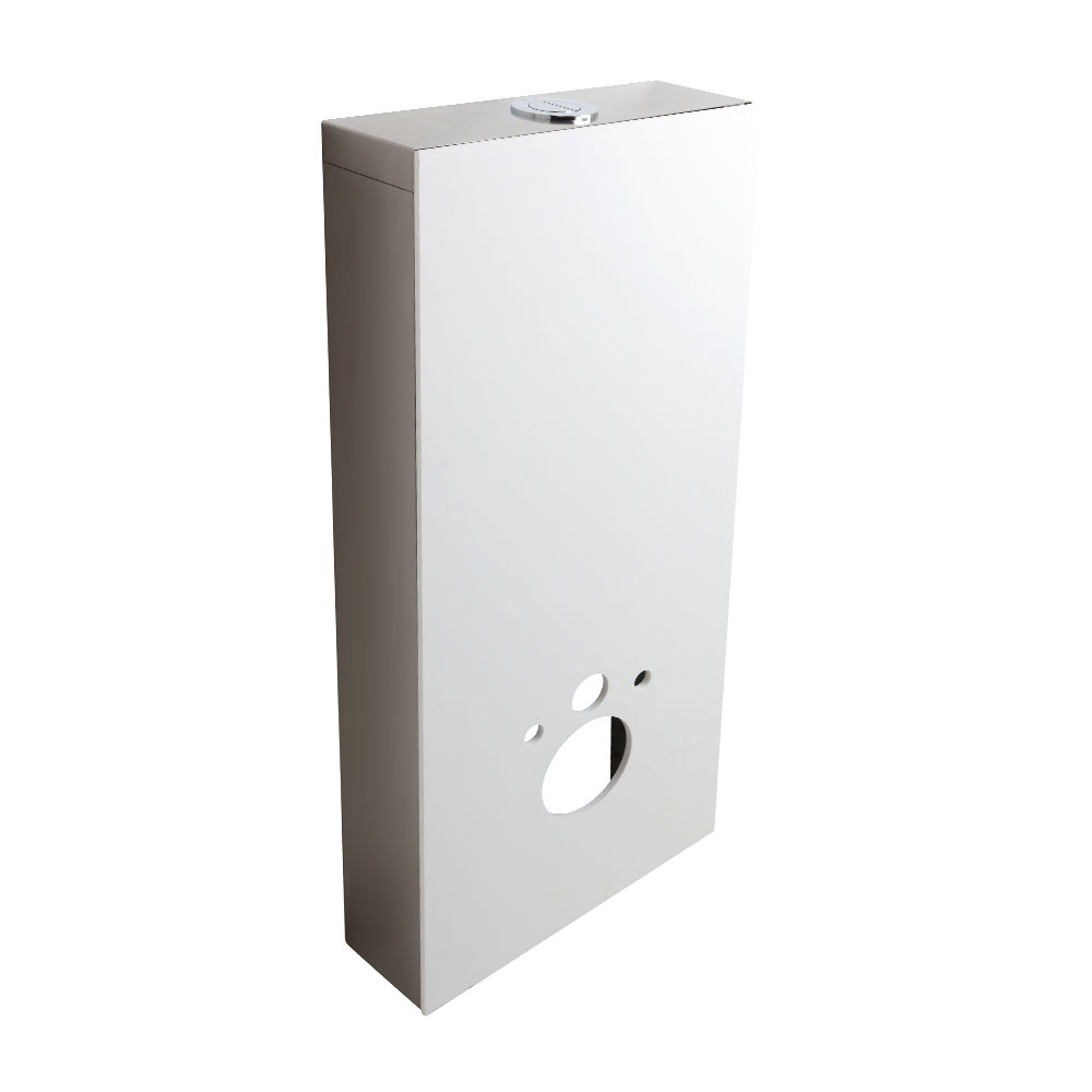 Sanitary toilet module