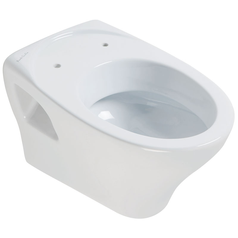 Wall hung toilet