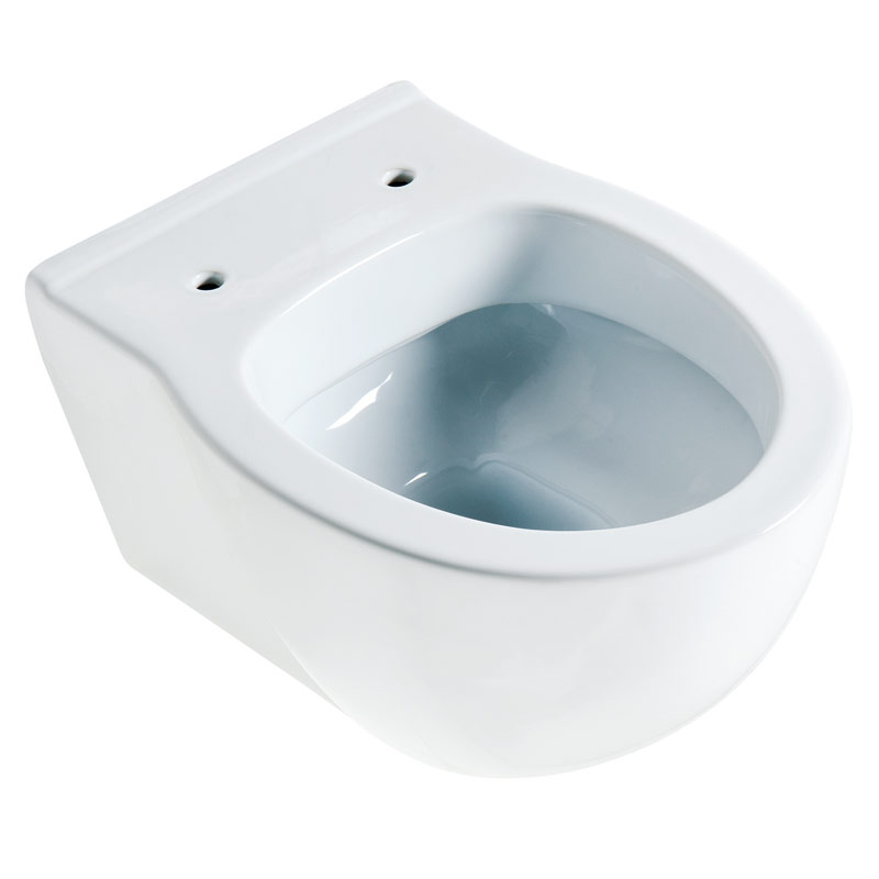 Space-saving, wall-mounted toilet