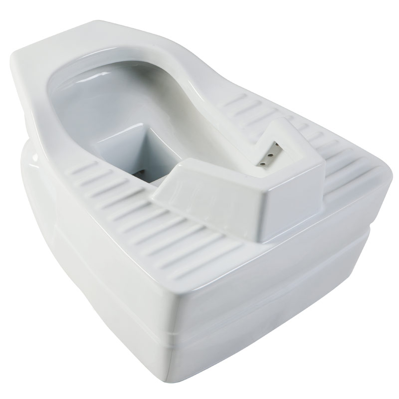 Above-floor squat toilet