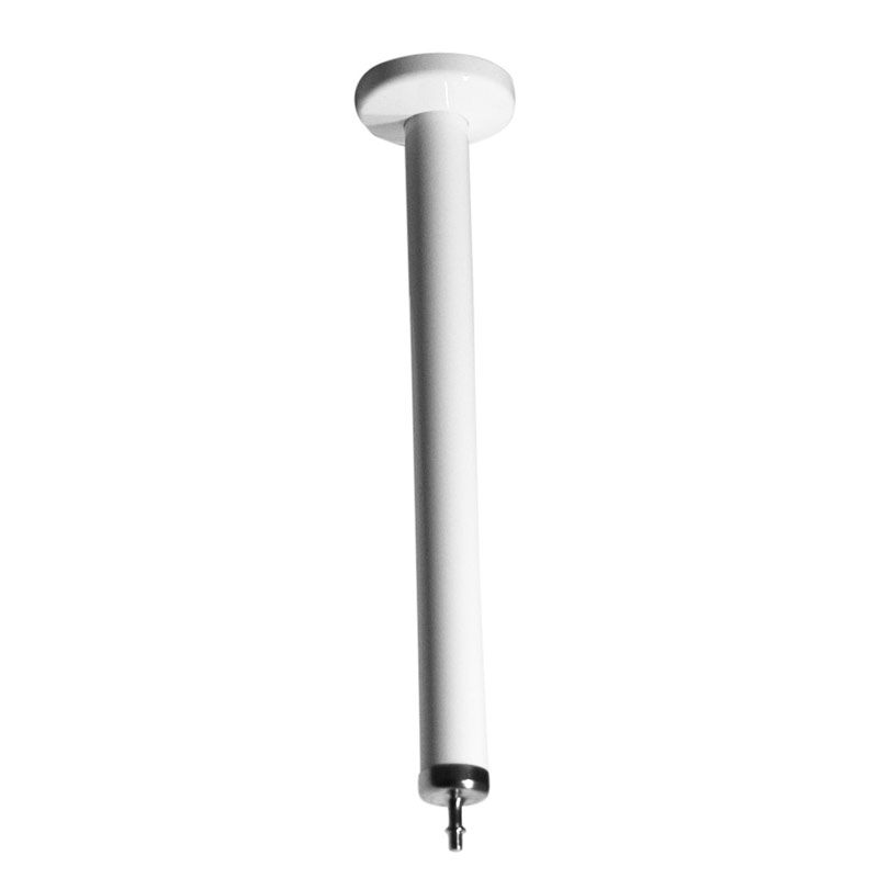 Ceiling support for shower curtain rod